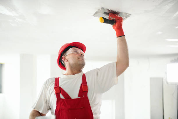 Best Forensic Mold Investigation  in Pine Hills, CA