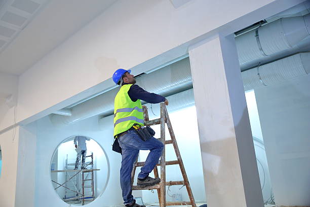 Best Attic Mold Removal  in Pine Hills, CA